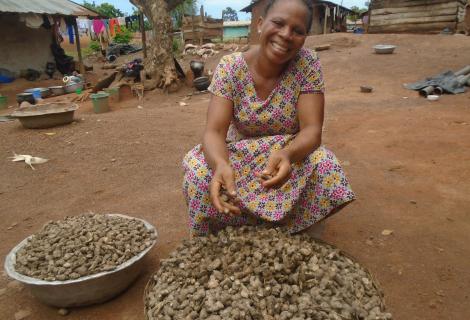 Asanna Iddrisu sits by her ginger harvest, readying it for market