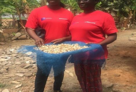Two members of Benyglad Mushroom Farm prepare dried mushroom to be packaged for sale