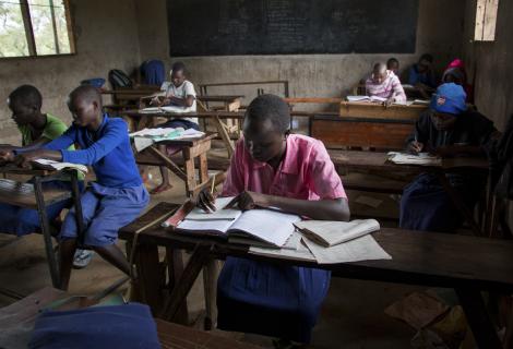 Students studying