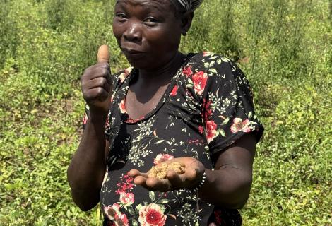 Boniye