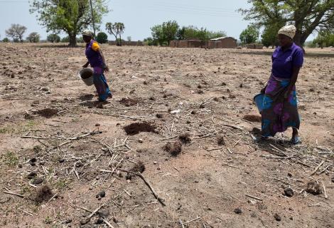 UPPER EAST Smallholder women farmer