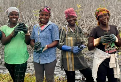 Women-led Volunteers 