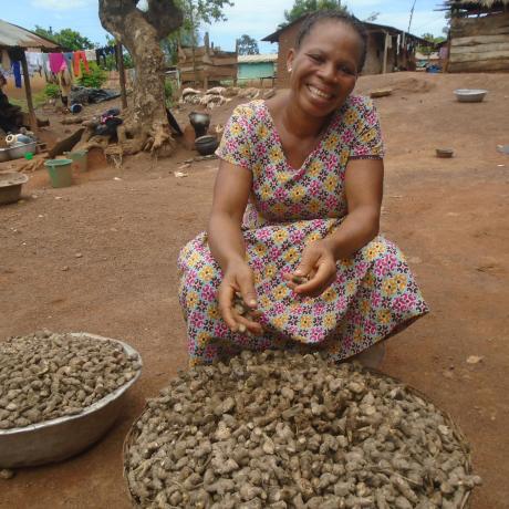 Asanna Iddrisu sits by her ginger harvest, readying it for market