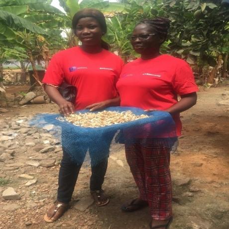 Two members of Benyglad Mushroom Farm prepare dried mushroom to be packaged for sale