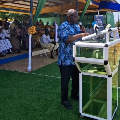 Head of Programme, Campaigns and Innovation