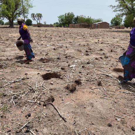 UPPER EAST Smallholder women farmer