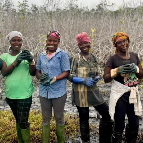 Women-led Volunteers 