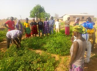 SMALLHOLDER WOMEN 