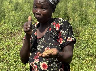 Boniye